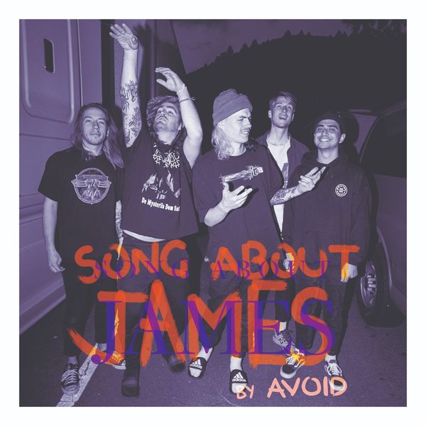 AVOID - Song About James cover 