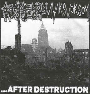 AYAKSVOKSOM - ...after Destruction cover 