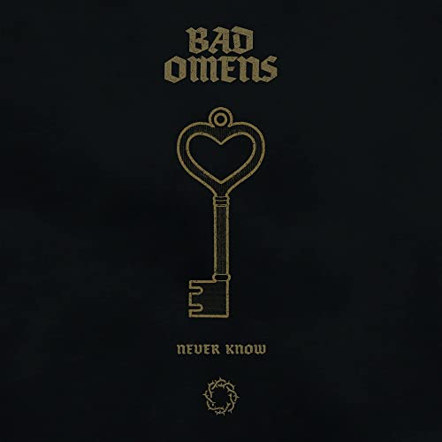 BAD OMENS - Never Know (Live) cover 