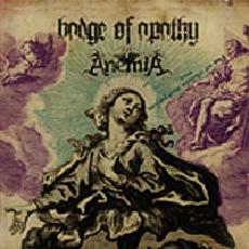 BADGE OF APATHY - Badge of Apathy / Anemia cover 