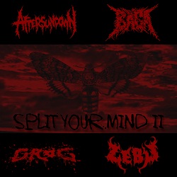 BAGA - Split Your Mind II cover 