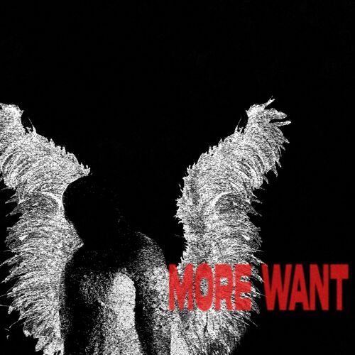 BANKS ARCADE - More Want cover 