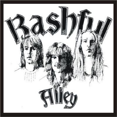 BASHFUL ALLEY - It's About Time cover 