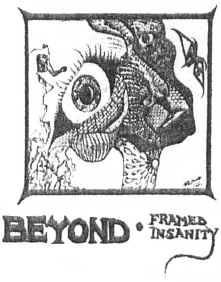 BEYOND - Framed Insanity cover 