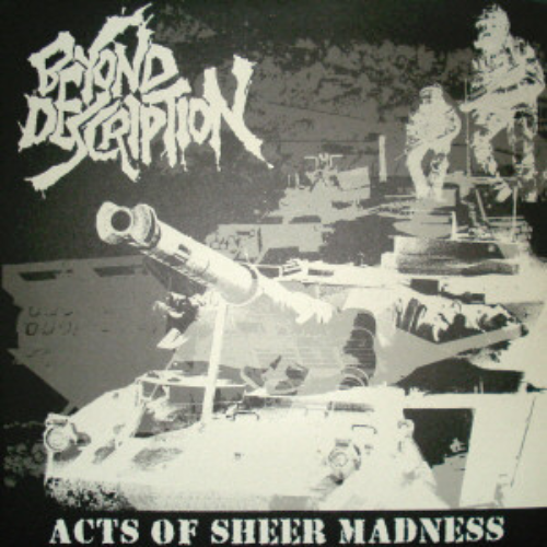 BEYOND DESCRIPTION - Acts Of Sheer Madness cover 