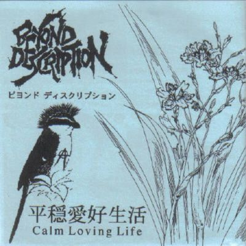 BEYOND DESCRIPTION - Calm Loving Life cover 