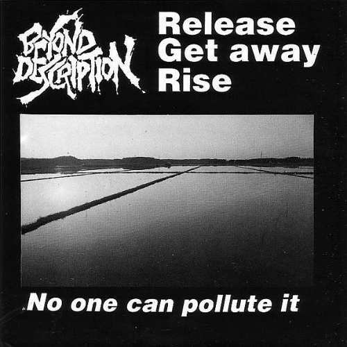 BEYOND DESCRIPTION - No One Can Pollute It / Boot Down The Door cover 