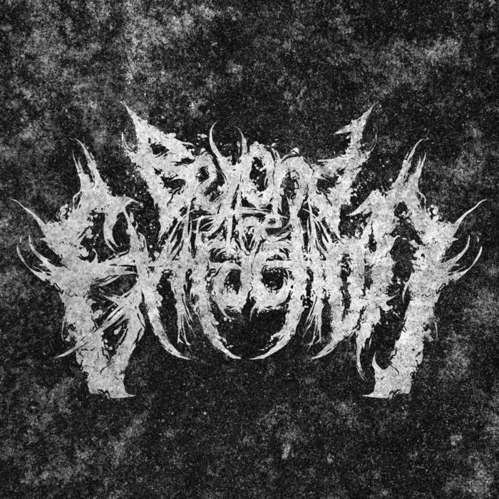 BEYOND THE EXTRACTION - Dissimulate cover 