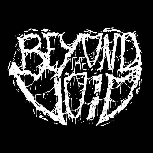 BEYOND THE VOID - Grave Of The Firefly cover 