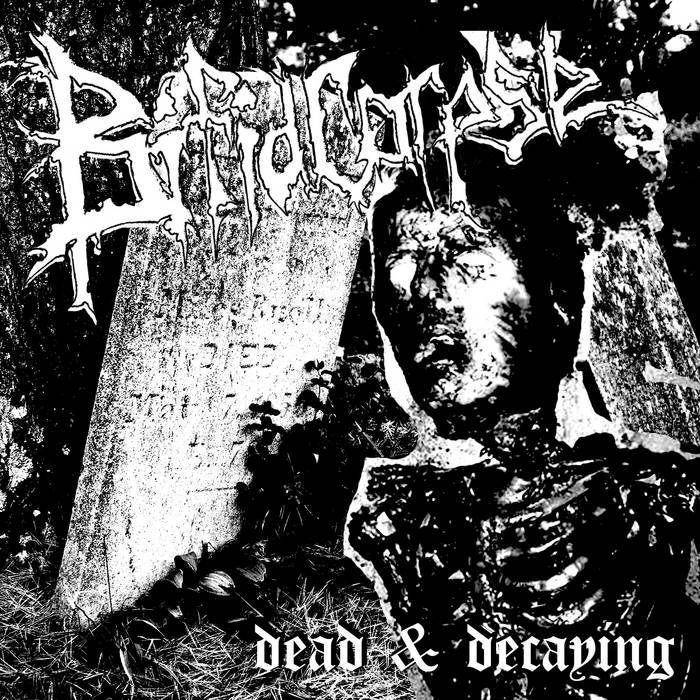 BIFID CORPSE - Dead & Decaying cover 