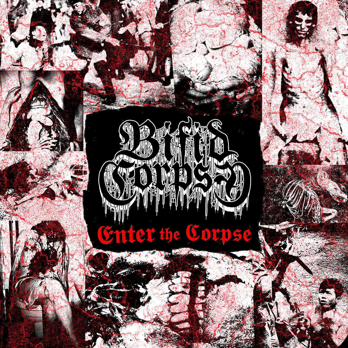 BIFID CORPSE - Enter The Corpse cover 