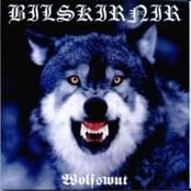 BILSKIRNIR - Wolfswut cover 