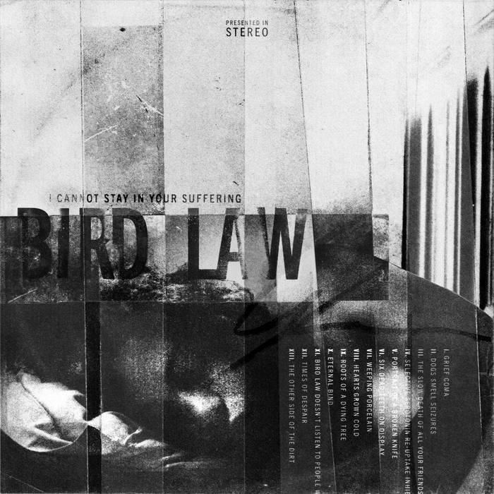 BIRD LAW - I Cannot Stay In Your Suffering cover 