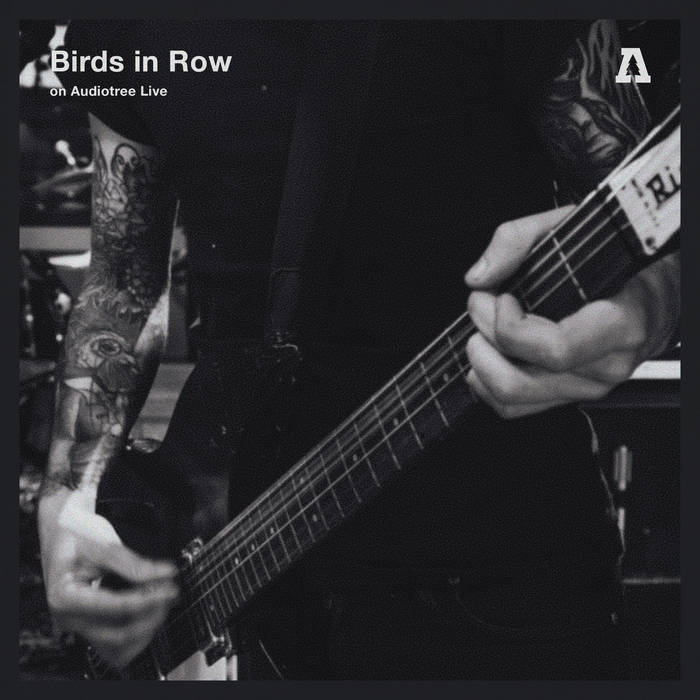 BIRDS IN ROW - On Audiotree Live cover 
