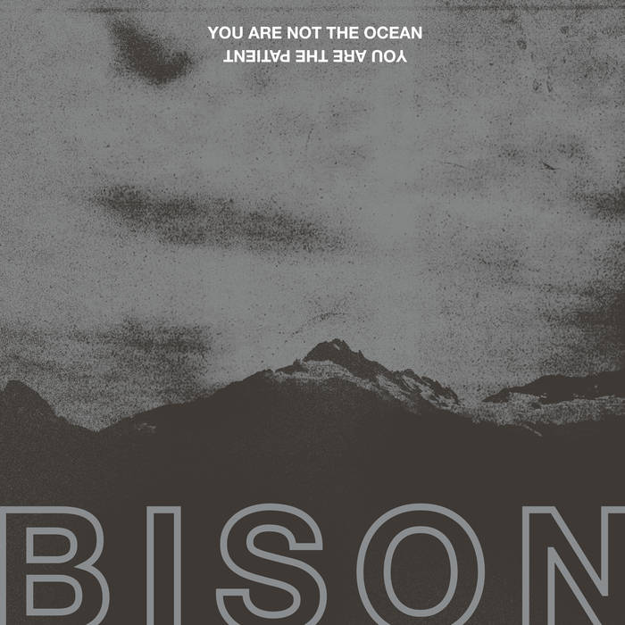 BISON - You Are Not The Ocean You Are The Patient cover 