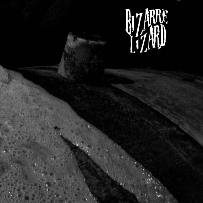BIZARRE LIZARD - Drink Sour Mash cover 