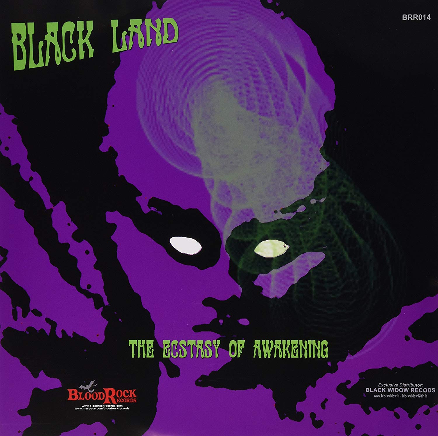 BLACK LAND - Orbital Decay / The Ecstasy of Awakening cover 