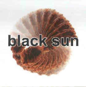 BLACK SUN - Fleshmarket cover 