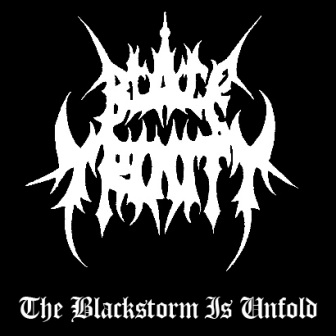 BLACK TRINITY - The Blackstorm Is Unfold cover 