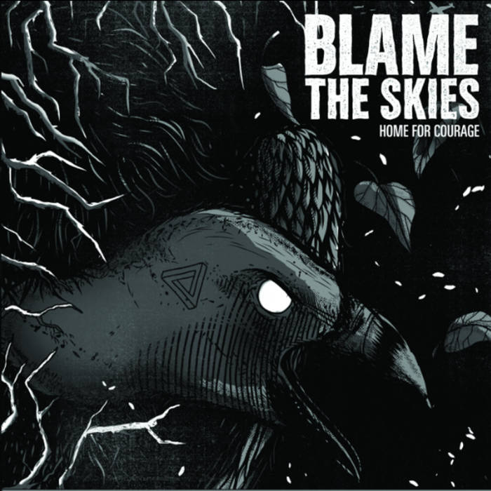 BLAME THE SKIES - Home For Courage cover 