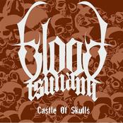 BLOOD TSUNAMI - Castle Of Skulls cover 