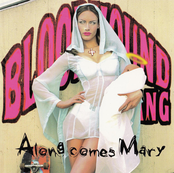 BLOODHOUND GANG - Along Comes Mary cover 