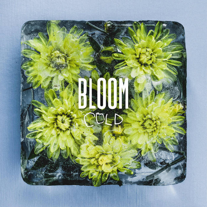 BLOOM - Cold cover 