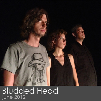 BLUDDED HEAD - Violitionist Sessions (2012) cover 