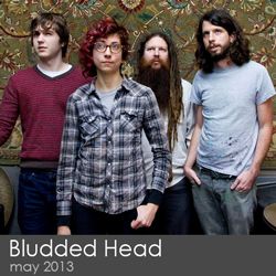 BLUDDED HEAD - Violitionist Sessions (2013) cover 