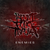 BLUNT FORCE TRAUMA - Enemies cover 