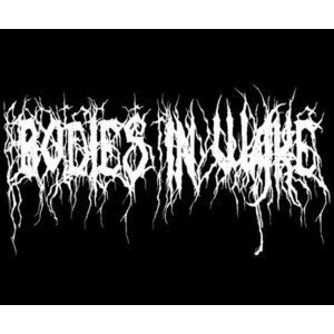 BODIES IN WAKE - Feast of Plagues cover 