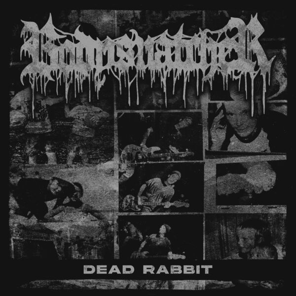 BODYSNATCHER - Dead Rabbit cover 