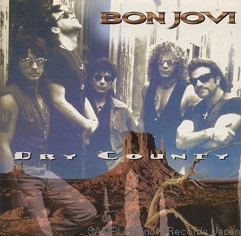 BON JOVI - Dry County cover 