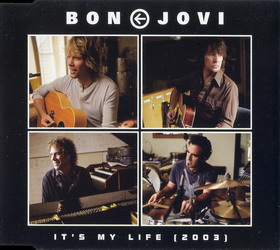 BON JOVI - It's My Life (2003) cover 