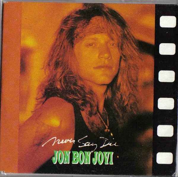 BON JOVI - Never Say Die cover 