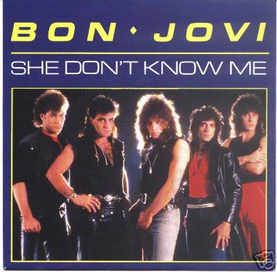 BON JOVI - She Don't Know Me cover 