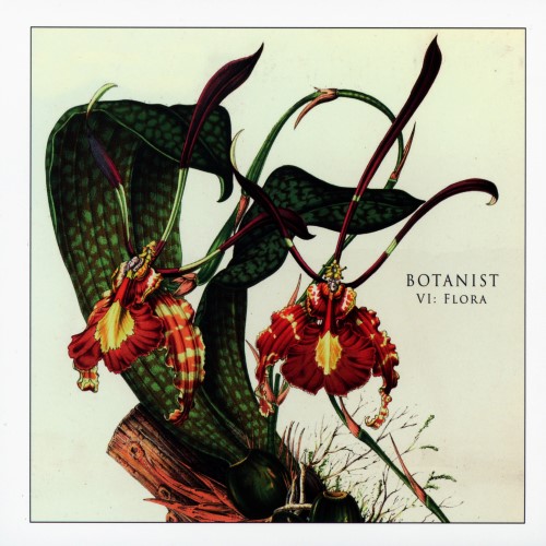 BOTANIST - VI: Flora cover 