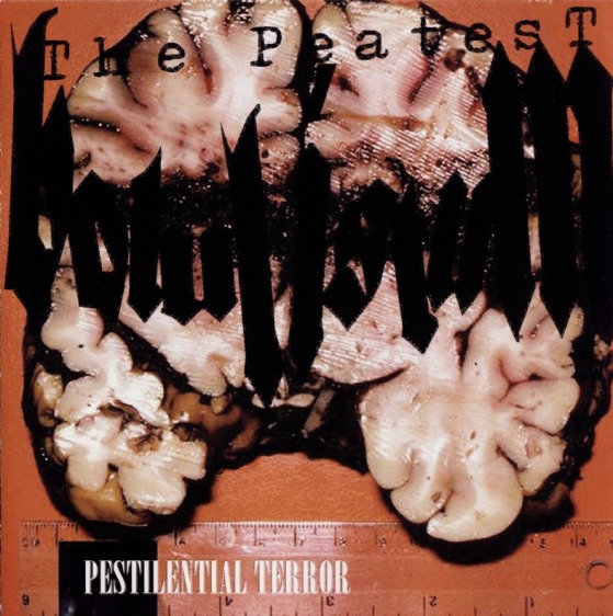 BOTULISTUM - Pestilential Terror cover 