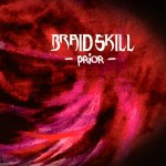 BRAID SKILL - Prior cover 