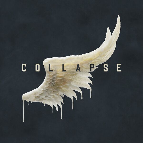 BREAKDOWN OF SANITY - Collapse cover 