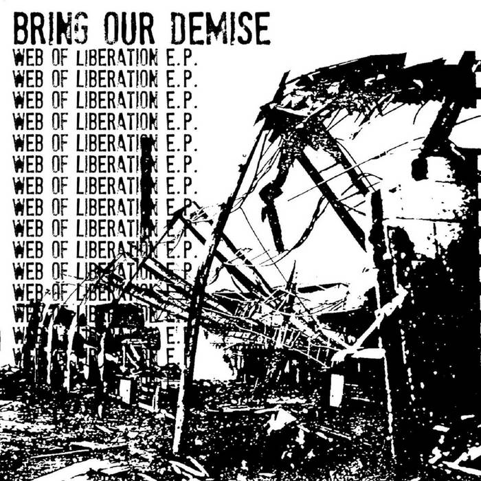 BRING OUR DEMISE - Web Of Liberation cover 