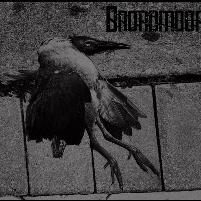 BROADMOOR - Bastardize cover 