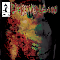 BUCKETHEAD - Pike 207 - 365 Days Til Halloween: Smash cover 