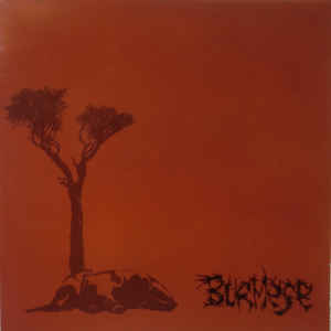 BURMESE - Monkeys Tear Man To Shreds, Man Never Forgives Ape, Man Destroys Environment cover 