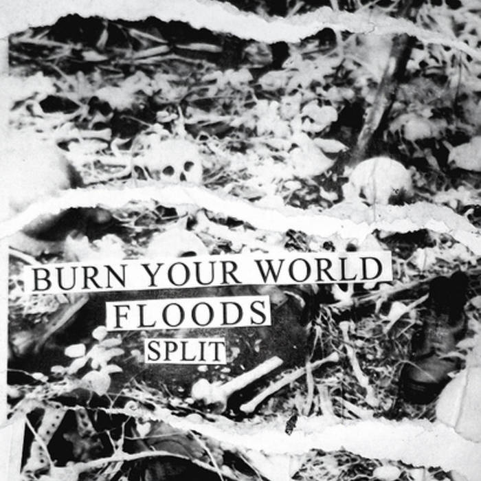 BURN YOUR WORLD - Burn Your World / Floods Split cover 