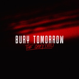 BURY TOMORROW - The Grey (VIXI) cover 