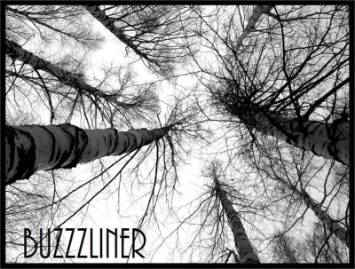 BUZZZLINER - Ввысь cover 