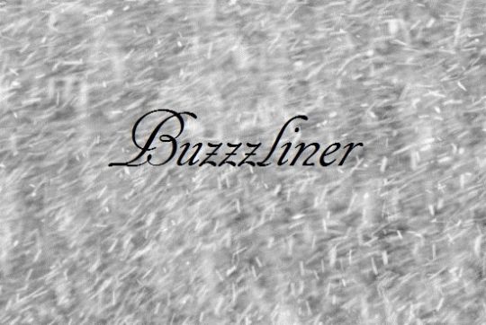 BUZZZLINER - Снежить cover 
