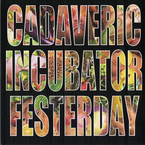 CADAVERIC INCUBATOR - Cadaveric Incubator / Festerday cover 