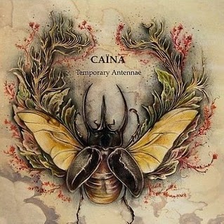 CAÏNA - Temporary Antennae cover 